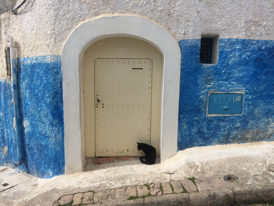 Travels | The city of Rabat in Morocco